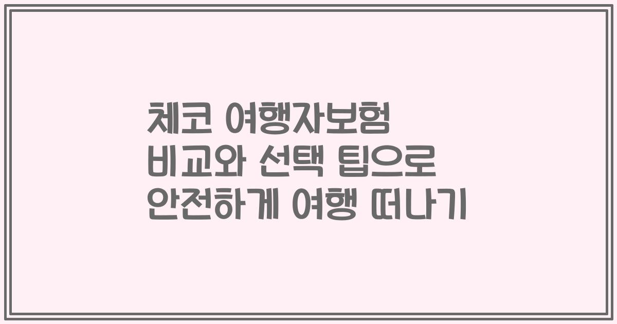 체코 여행자보험 비교와 선택 팁으로 안전하게 여행 떠나기