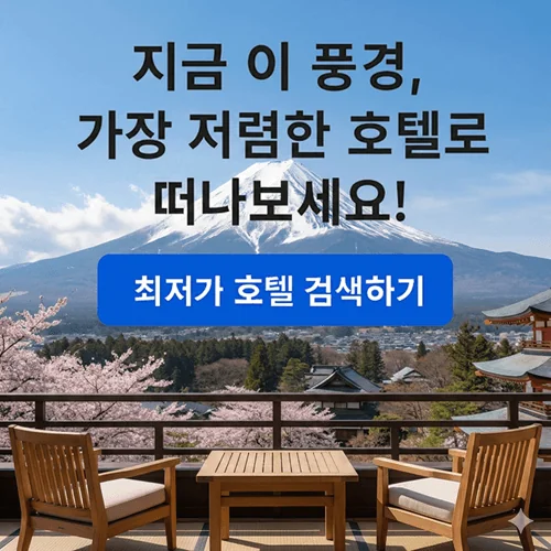 최저가호텔